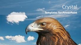  Presentation with eagle - Beautiful presentation theme featuring golden eagle on cloud sky backdrop and a teal colored foreground