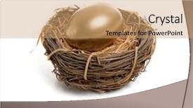  Presentation with birds - Theme with golden egg in a birds background and a coral colored foreground