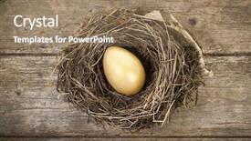  Presentation with rustic wedding green gold - Beautiful presentation featuring golden egg in bird nest backdrop and a coral colored foreground
