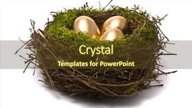  Presentation with bird eggs - Colorful presentation theme enhanced with golden eggs in a nest backdrop and a tawny brown colored foreground