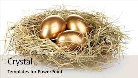  Presentation with bird eggs - Beautiful PPT theme featuring golden eggs in nest isolated backdrop and a coral colored foreground