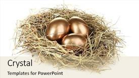  Presentation with egg - Colorful PPT layouts enhanced with golden eggs in nest isolated backdrop and a lemonade colored foreground