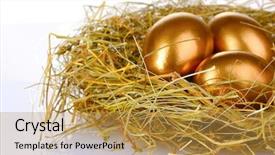  Presentation with gold food white - Cool new theme with golden eggs in nest isolated backdrop and a  colored foreground
