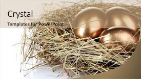  Presentation with egg - Theme enhanced with golden eggs in nest isolated background and a coral colored foreground