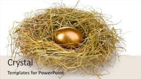  Presentation with gold food white - Audience pleasing theme consisting of golden eggs in nest isolated backdrop and a yellow colored foreground