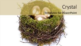  Presentation with golden - Audience pleasing theme consisting of golden eggs in the nest backdrop and a yellow colored foreground