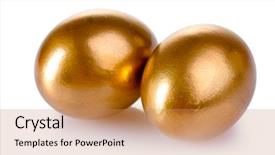  Presentation with golden - Beautiful theme featuring golden eggs isolated on white backdrop and a coral colored foreground
