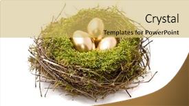  Presentation with eggs egg carton egg box - Slides with golden eggs on a nest background and a yellow colored foreground