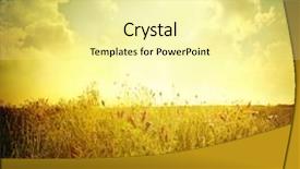  Presentation with summer event - Slides consisting of people shopping in exhibition trade background and a tawny brown colored foreground