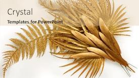  Presentation with feather - Beautiful theme featuring golden-feather-and-golden-tropical backdrop and a coral colored foreground