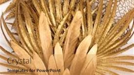  Presentation with feather - Colorful slide deck enhanced with golden-feather-and-golden-tropical backdrop and a yellow colored foreground