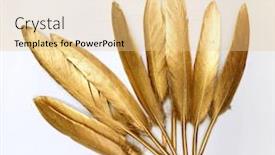  Presentation with feather - Beautiful PPT layouts featuring golden-feather-on-a-white backdrop and a lemonade colored foreground