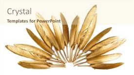  Presentation with feather - Beautiful presentation design featuring golden-feather-on-a-white backdrop and a cream colored foreground