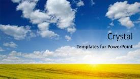 Presentation with beautiful golf courses - PPT layouts consisting of golden field of flowering rapeseed background and a light blue colored foreground