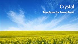  Presentation with beautiful golf courses - Cool new PPT layouts with golden field of flowering rapeseed backdrop and a teal colored foreground