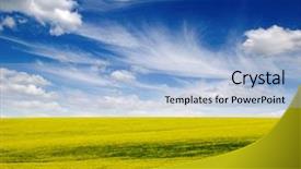  Presentation with rapeseed - Presentation enhanced with golden field of flowering rapeseed background and a light blue colored foreground