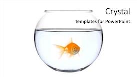  Presentation with bowl - Slide deck featuring golden fish in a bowl background and a white colored foreground