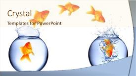  Presentation with fish aquarium - Beautiful slides featuring golden fish jumping from aquarium backdrop and a cream colored foreground