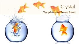  Presentation with fish aquarium - Presentation with golden fish jumping from aquarium background and a cream colored foreground