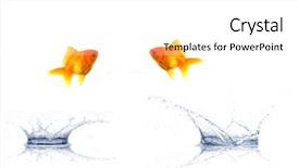  Presentation with mythology gold fish - Audience pleasing slides consisting of golden fish jumping backdrop and a white colored foreground