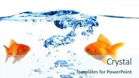  Presentation with mythology gold fish - Slides having land from the airplane background and a teal colored foreground