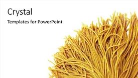  Presentation with curtain - PPT theme enhanced with golden fringe whith a white background and a white colored foreground