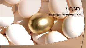  Presentation with lays - Beautiful slides featuring golden goose - one gold egg lays backdrop and a coral colored foreground