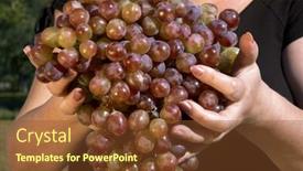  Presentation with harvest - PPT theme featuring golden harvest background and a tawny brown colored foreground