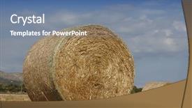  Presentation with hay field - Audience pleasing slide set consisting of golden hay bales in farm backdrop and a ocean colored foreground