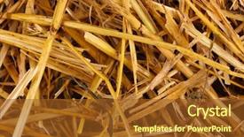  Presentation with golden - Audience pleasing slides consisting of golden-hay-close-up backdrop and a tawny brown colored foreground