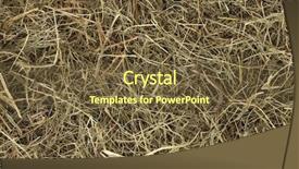  Presentation with cream gold texture paper - Cool new slide deck with golden hay texture background close-up backdrop and a tawny brown colored foreground