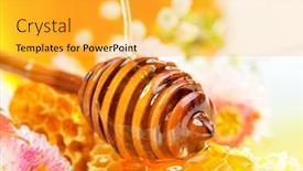  Presentation with pollen - Slides with golden honey with pollen and flowers background and a yellow colored foreground