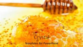  Presentation with pollen - Cool new presentation with golden honeycomb and pollen backdrop and a gold colored foreground
