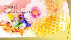  Presentation with honeycomb - 