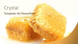  Presentation with honey - PPT layouts with golden-honeycombs-with-honey-isolated background and a cream colored foreground