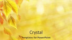  Presentation with nature sun leaves - PPT layouts featuring golden leafe - beautiful autumn leaves on nature background and a  colored foreground