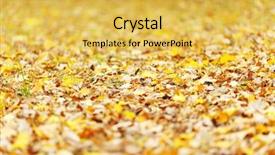  Presentation with close up dumb cane leaves - Beautiful PPT theme featuring golden leafe - colorful autumn leaves background close backdrop and a  colored foreground