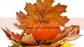  Presentation with fall leaves border autumn - Audience pleasing PPT layouts consisting of golden leafe - pumpkin with colorful autumn leaves backdrop and a gold colored foreground