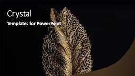  Presentation with golden - Slide deck with golden-leaves-big-golden-leaf background and a black colored foreground