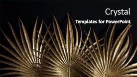  Presentation with golden - Theme consisting of golden-leaves-helostoma-temmicki-leaf background and a black colored foreground