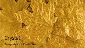 Presentation with apple tree golden - Presentation theme with golden maple tree leaves background background and a gold colored foreground