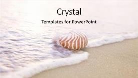  Presentation with sea shell - PPT theme enhanced with golden nautilus shell in sea background and a cream colored foreground