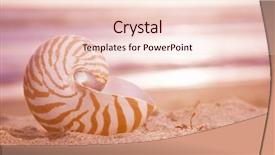  Presentation with foggy water sunrise - Presentation design consisting of golden nautilus shell in sea background and a lemonade colored foreground