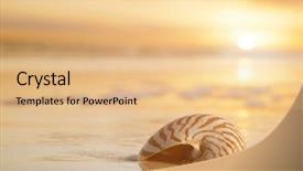  Presentation with sea shell - Audience pleasing PPT theme consisting of golden nautilus shell in sea backdrop and a coral colored foreground