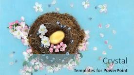  Presentation with golden apple - Audience pleasing presentation design consisting of golden-nest-egg backdrop and a light blue colored foreground