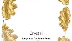  Presentation with oak - Theme with golden oak leaves forming a frame over white background background and a white colored foreground