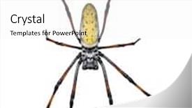  Presentation with spider web - PPT theme having small fried doughnut with cocktails for carnival background and a lemonade colored foreground