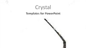  Presentation with spider web - Audience pleasing theme consisting of golden orb-web spider nephila backdrop and a white colored foreground