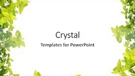  Presentation with oregano - Slides with border isolated over white background background and a white colored foreground