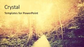  Presentation with fall leaves - Presentation with golden path - autumn fall park sun shining background and a blonde colored foreground